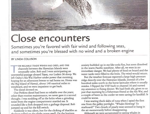 Close Encounters of the Whale Kind