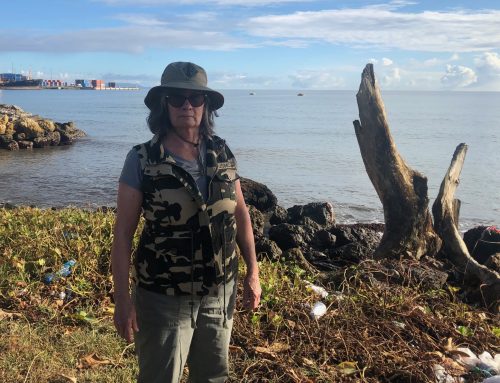 My Guadalcanal Diary